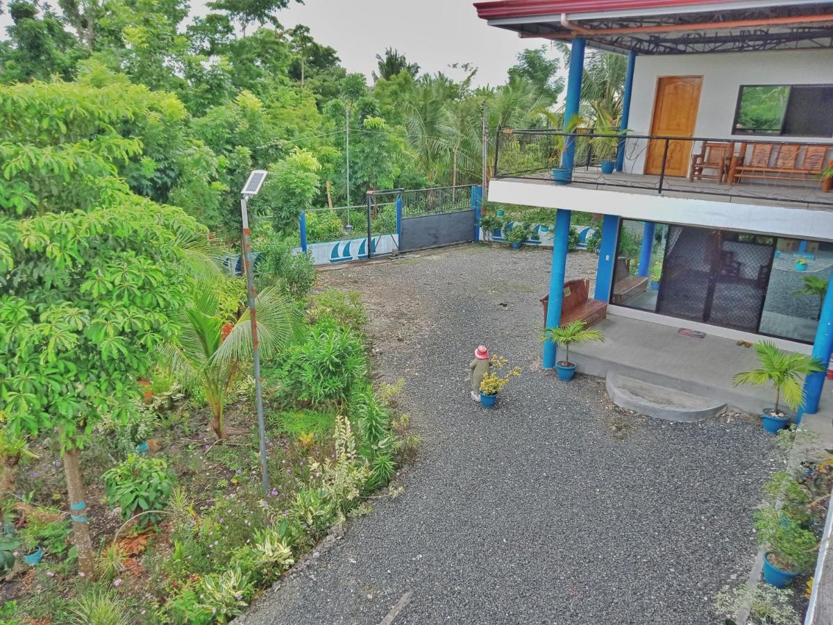 Happy Bear Moalboal Budget Rooms Luaran gambar